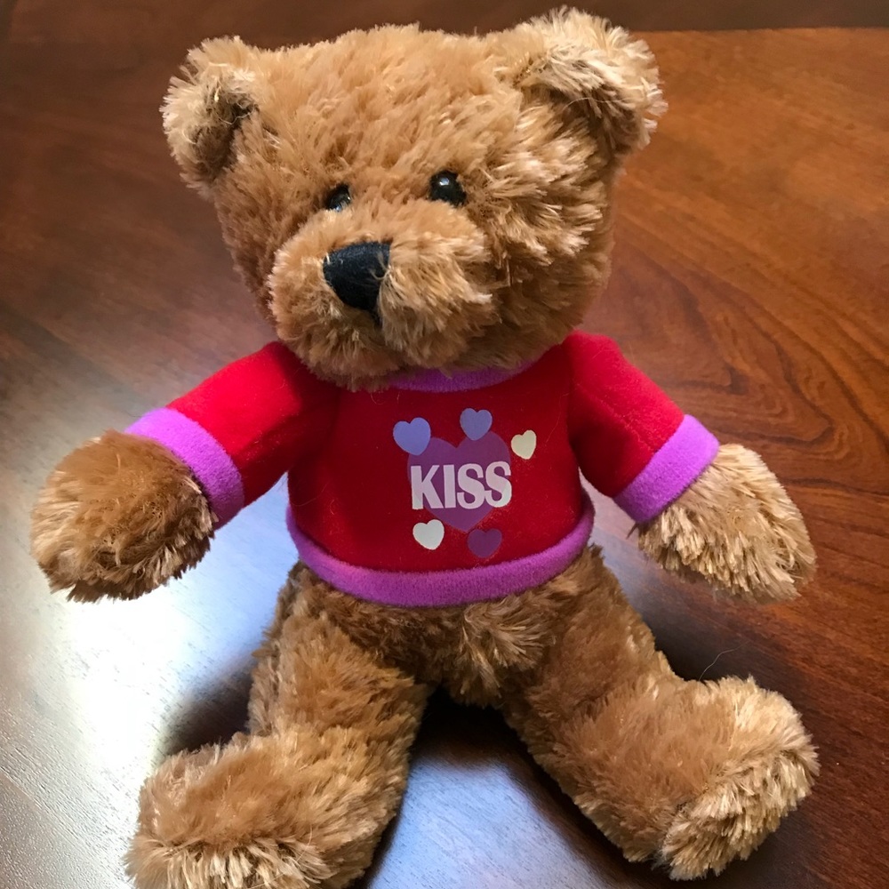 Small stuffed teddy bear. Like new.